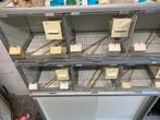 Te koop broedkooien, Ophalen of Verzenden, Zo goed als nieuw, Aluminium, Broedkooi of Kweekkooi