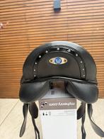 KM ZADEL, Dieren en Toebehoren, Ophalen, Dressuur