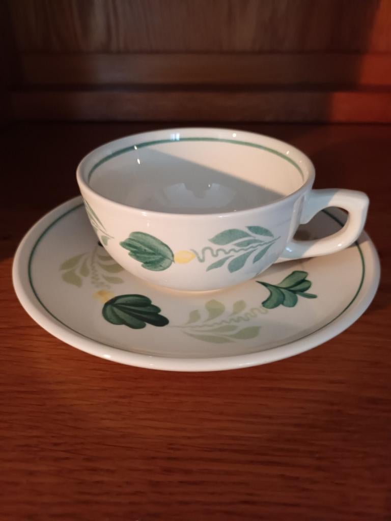 12 theekop en schotels groen boerenbont aquarelle royal boch, Ophalen of Verzenden, Zo goed als nieuw, Kop(pen) en/of Schotel(s)