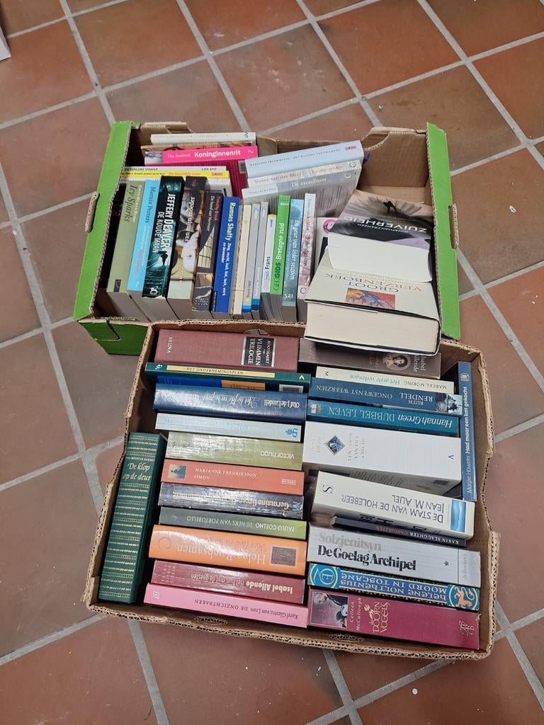 Verscheidenheid aan boeken. Romans, fictie, groot verzenboek, Boeken, Ophalen, Gelezen