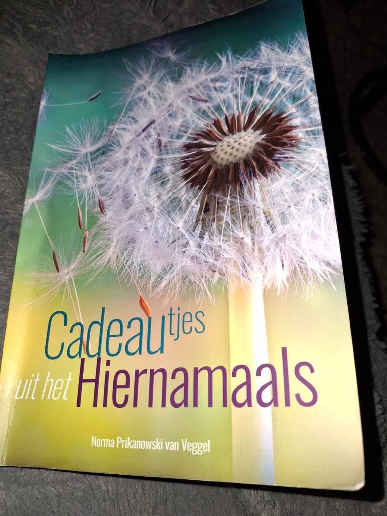 Cadeautjes uit het Hiernamaals, Boeken, Achtergrond en Informatie, Spiritualiteit algemeen, Ophalen of Verzenden, Zo goed als nieuw