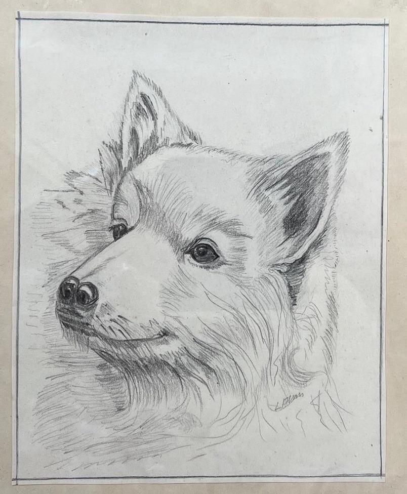 Tekening Hond, Antiek en Kunst, Ophalen of Verzenden