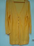 Expresso vest maat xxl, Kleding | Dames, Blouses en Tunieken, Ophalen of Verzenden, Maat 46/48 (XL) of groter