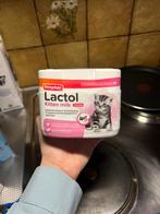 Kitten milk and bottle, Ophalen of Verzenden, Zo goed als nieuw