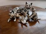 Katten beeldjes, Verzamelen, Beelden en Beeldjes, Ophalen, Zo goed als nieuw, Dier