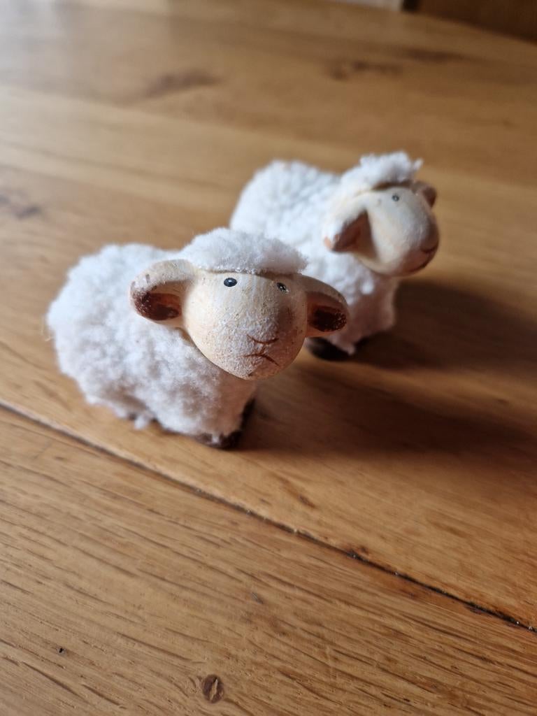 LAMMETJES 2X, Ophalen of Verzenden, Dier