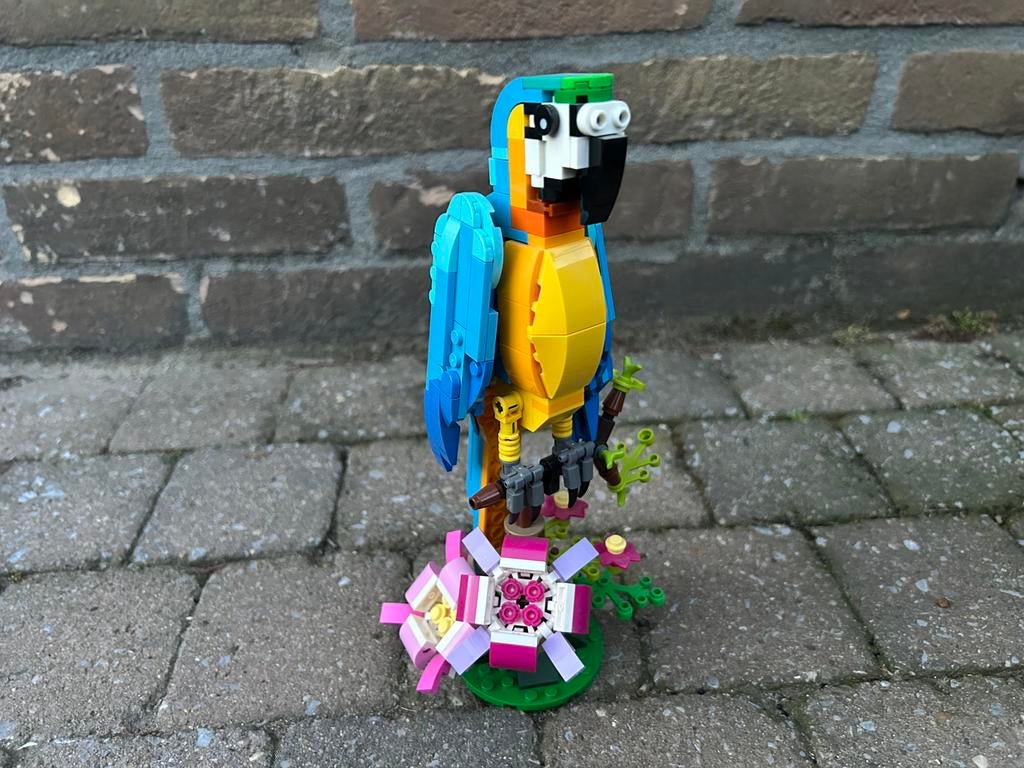 Lego exotische papegaai 31136, Lego, Ophalen of Verzenden, Zo goed als nieuw, Inclusief doos
