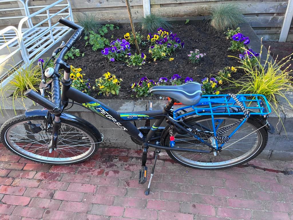 Jongensfiets 24 inch - Pegasus, Ophalen, Velgrem, Handrem, Gebruikt