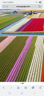 caravan met staanplaats op camping Sollasi Noordwijk, Caravans en Kamperen, Stacaravans, Tot en met 4