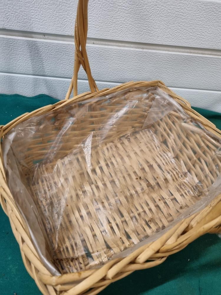 plantenmand met hengsel en plastic riet, Ophalen of Verzenden, 'T Olde Gre-j, Info@toldegrej.nl, Endepoelstraat 20f Didam