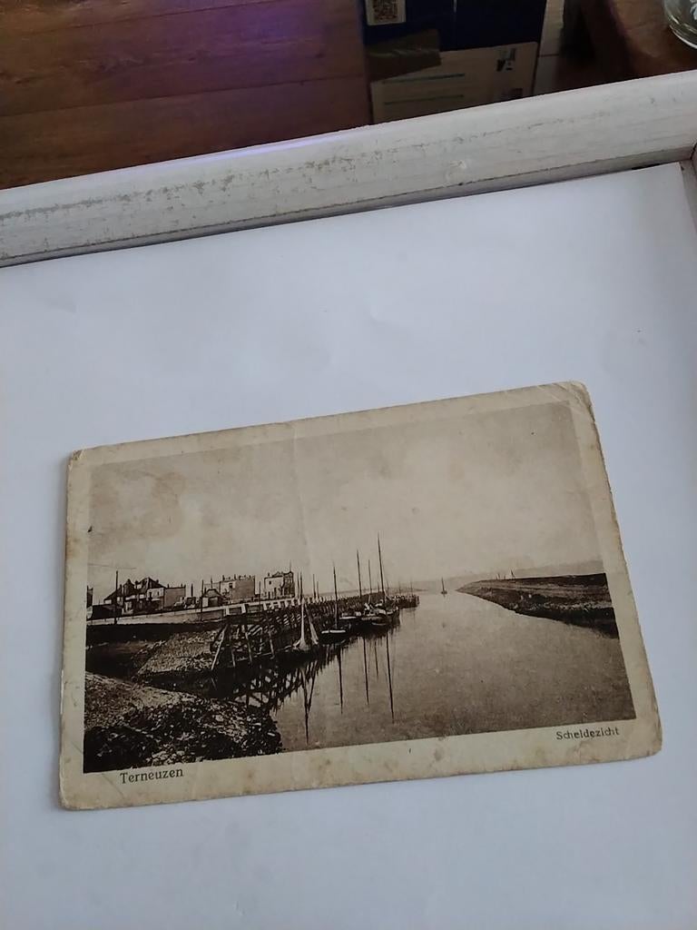 TERNEUZEN. SCHELDEZICHT, Ophalen of Verzenden, Voor 1920, Zeeland