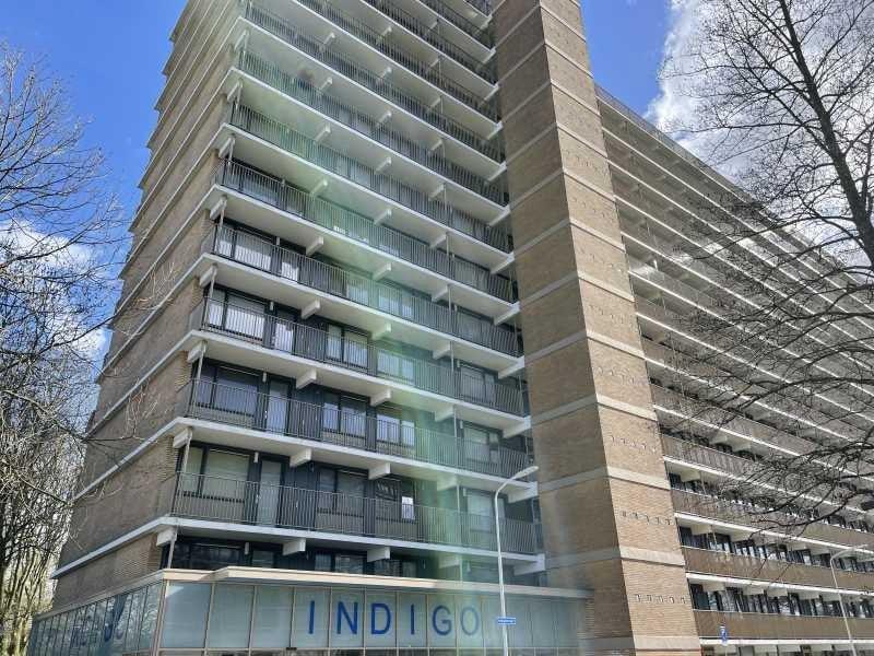 NIEUW! Woonruimte te huur Indigostraat, Zaandam, Huizen en Kamers