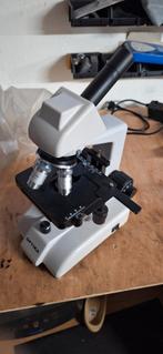 Microscoop, Audio, Tv en Foto, Optische apparatuur | Microscopen, Ophalen, Gebruikt, 400x tot 1000x, Biologische microscoop
