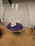 Grote mooie onbeschadigde vissenkom, Dieren en Toebehoren, Vissen | Aquaria en Toebehoren, Ophalen, Zo goed als nieuw, Leeg aquarium
