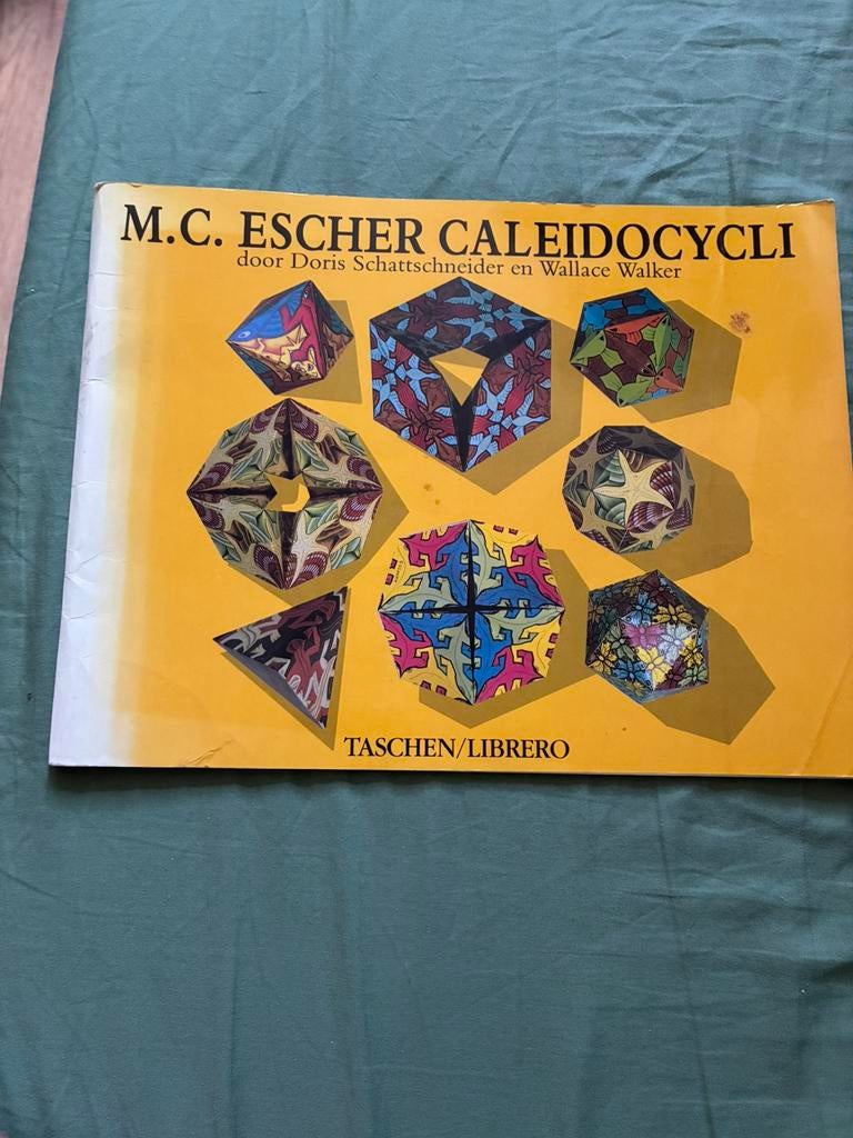 M. C. ESCHER CALEIDOCYCLI boek over werk van de schilder, Boeken, Ophalen of Verzenden, Gelezen, Tekenen en Schilderen