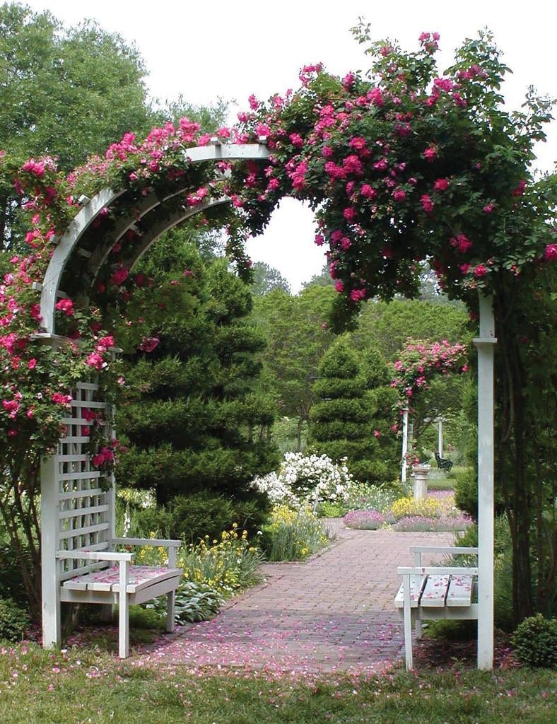 Tuinposter 200 x 154 cm (h x br.), Tuin en Terras, Ophalen of Verzenden, Nieuw