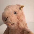 Vintage Steiff Marmot Pluche - Zeldzaam verzamelobject, Ophalen of Verzenden, Gebruikt, Overige typen