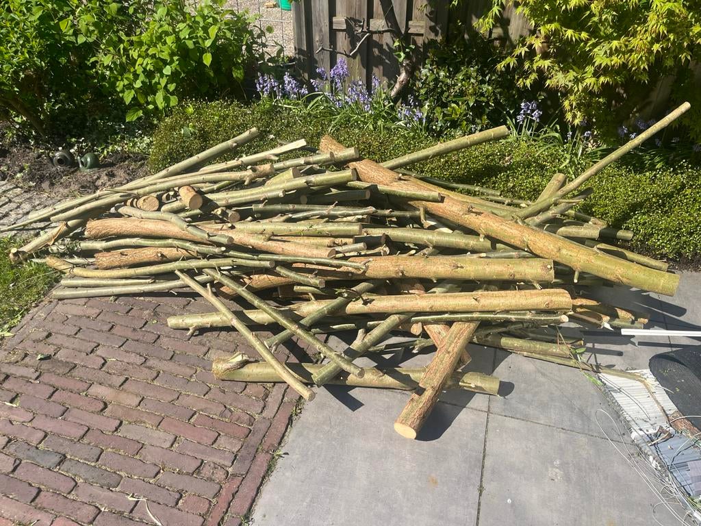 Knotwilg Brandhout - Vers gekapt, Tuin en Terras, Haardhout, Minder dan 3 m³, Ophalen, Overige houtsoorten, Stammen