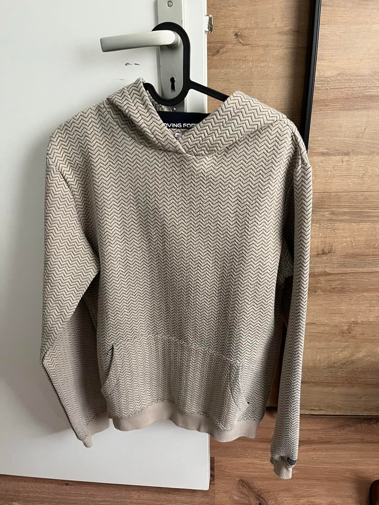 Hoodie en Jack & Jones trui maat 170/176, Kinderen en Baby's, Kinderkleding | Maat 170, Ophalen of Verzenden