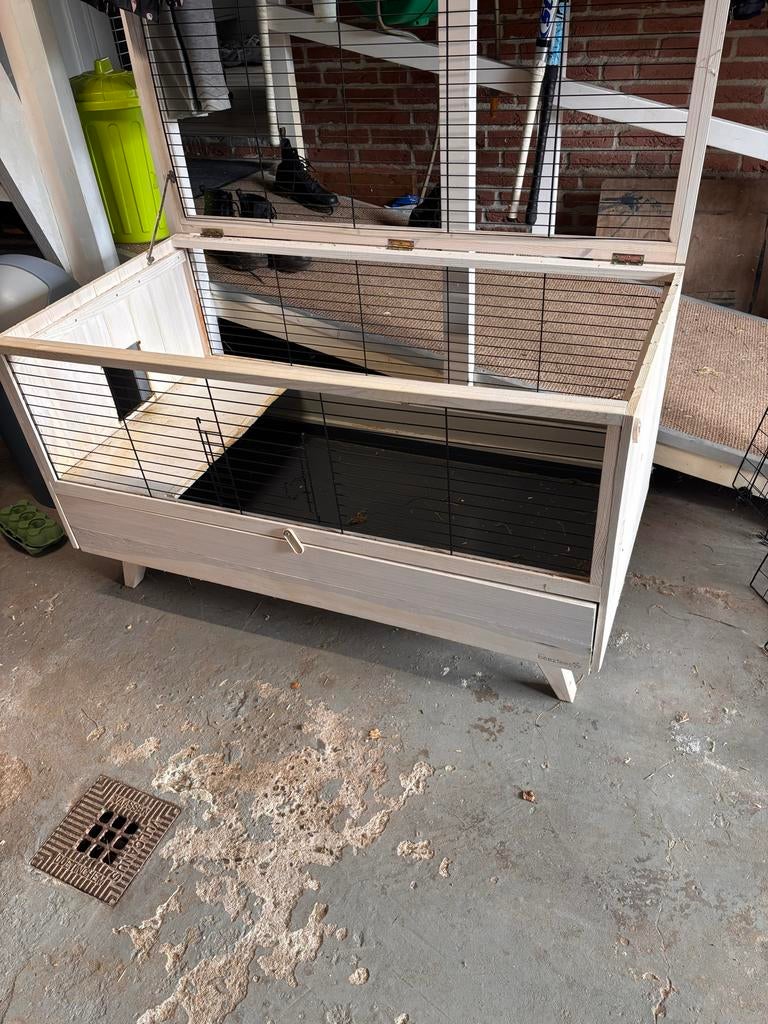 Knaagdier hok, Hok, Cavia, Ophalen, Minder dan 60 cm