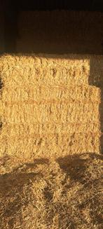 Tarwe stro grote pakken, Dieren en Toebehoren, Ophalen of Verzenden, Vee