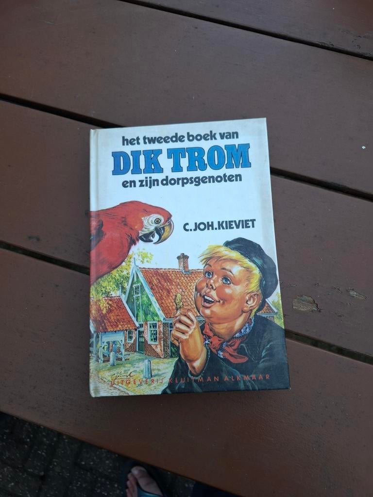 Het tweede boek van Dik Trom en zijn dorpsgenoten, Boeken, Ophalen of Verzenden