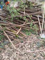 Gratis afhalen paaltjes, Ophalen of Verzenden, Minder dan 180 cm, Palen