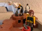 Playmobil 4013 Dierentuin Pinguin, Ophalen of Verzenden
