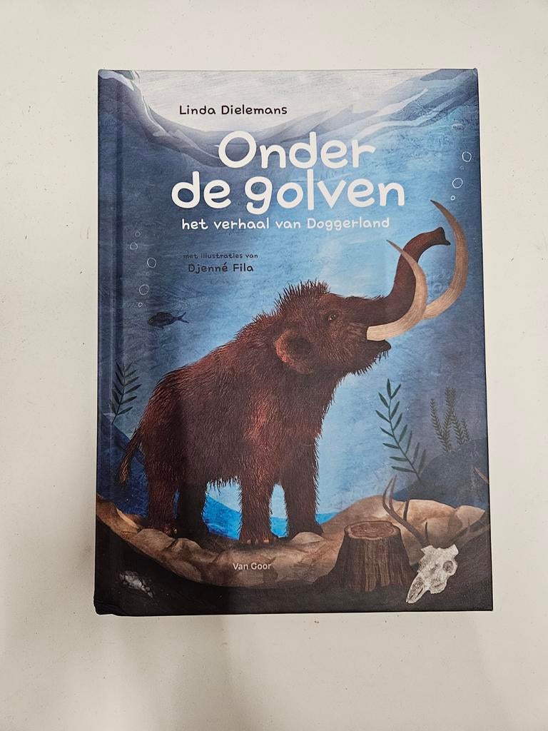 Linda Dielemans - Onder de golven, Fictie algemeen, Ophalen of Verzenden, Zo goed als nieuw, Linda Dielemans