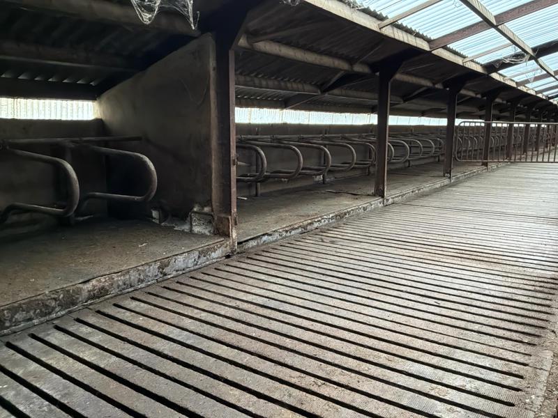 Ligboxen, Dieren en Toebehoren, Stalling en Weidegang