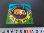 sticker strip cavia - the worlds greatest guinea pig, Verzamelen, Ophalen, Zo goed als nieuw