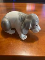 Hond porselein beeldjes, Ophalen of Verzenden, Zo goed als nieuw, Dier