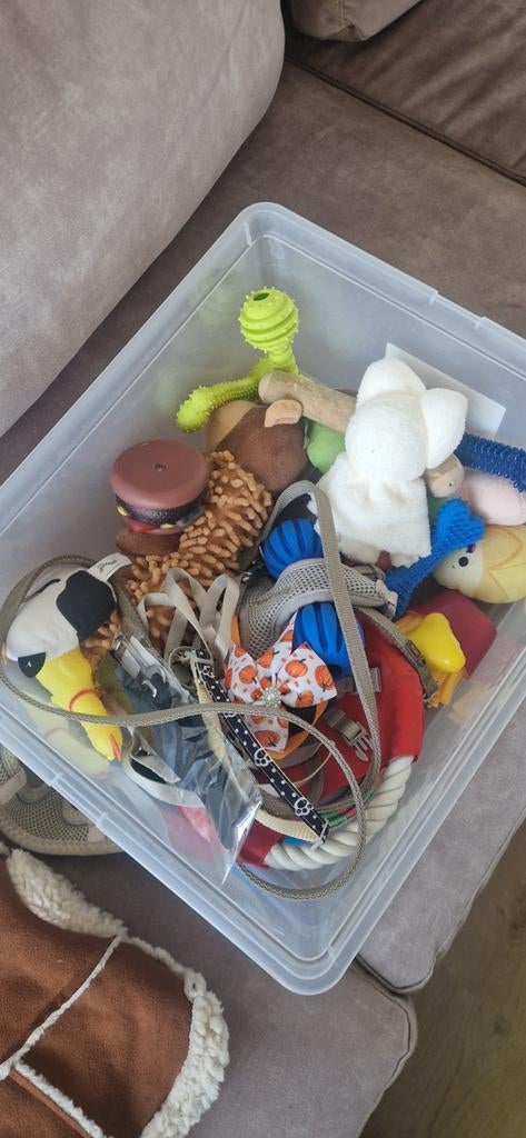 Gratis honden speeltjes, Ophalen, Knuffels