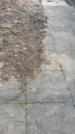 64x Tuintegels 60x60x6 cm - Gratis af te halen, Ophalen, Gebruikt, 10 m² of meer, Beton