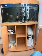 Aquarium juwel 180 liter compleet en met vissen, Ophalen, Gebruikt, Gevuld zoetwateraquarium