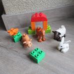duplo varken/geit/schaap/konijn en blokjes, Ophalen of Verzenden, Gebruikt, Duplo