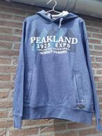 Mooi Canda hoodie maat M. C&A. Kleur blauw/grijs, Kleding | Heren, Truien en Vesten, Blauw, Maat 48/50 (M), Ophalen of Verzenden