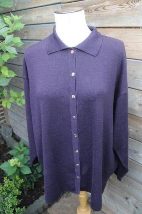 Vest aubergine Sarah Pacini 1mt (XL) Winter Vaste prijs, Kleding | Dames, Truien en Vesten, Zo goed als nieuw, Maat 46/48 (XL) of groter