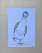 tekening Blauwvoetgent 2 21x26cm, Minder dan 50 cm, Nieuw, Ophalen of Verzenden, Minder dan 50 cm