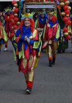 Vogelpakken, Ophalen, Zo goed als nieuw, Carnaval, Kleding