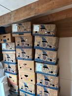 Gratis bananendozen ongeveer 30 stuks, Doe-het-zelf en Verbouw, Kratten en Dozen, 40 tot 60 cm, 50 tot 75 cm, Ophalen of Verzenden