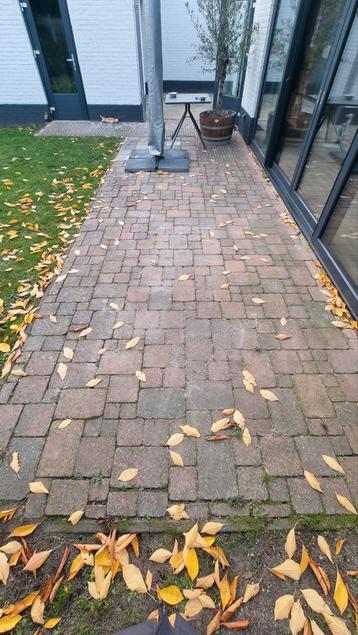 Gratis Terrastegels / Klinkers wildverband 14m2  beschikbaar voor biedingen