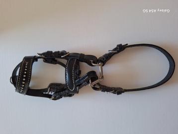 Accessoire hoofdstel paard beschikbaar voor biedingen