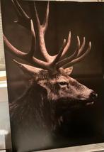 Groot Canvas Schilderij Hert - 180x120cm, Ophalen