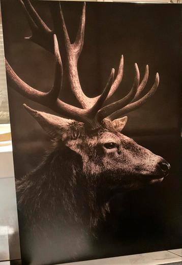 Groot Canvas Schilderij Hert - 180x120cm beschikbaar voor biedingen
