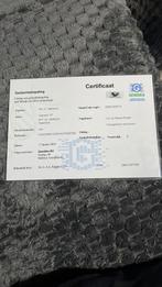 Koppel lori geringd met geslaag bepaling papieren, Meerdere dieren, Papegaai, Geringd