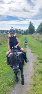 Kinderpony zoekt nieuw huisje, Dieren en Toebehoren, Merrie, Zadelmak, Recreatiepony, 11 jaar of ouder