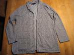 Geruit jasje maat M, Ophalen of Verzenden, Gedragen, Maat 38/40 (M), Jasje