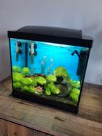 Superfish Start 30 Tropical – Aquarium in topstaat, Dieren en Toebehoren, Vissen | Aquaria en Toebehoren, Ophalen, Gebruikt, Gevuld zoetwateraquarium