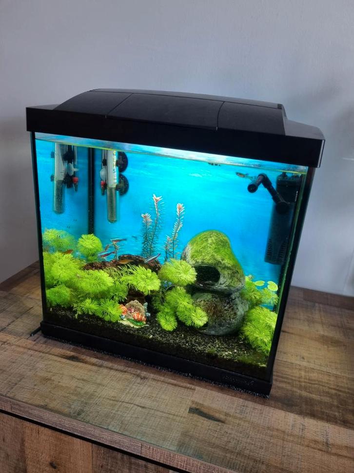 Superfish Start 30 Tropical – Aquarium in topstaat, Dieren en Toebehoren, Vissen | Aquaria en Toebehoren, Gebruikt, Gevuld zoetwateraquarium